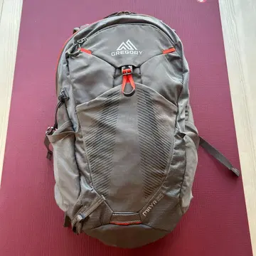 GREGORY Mara 25 백팩 그레이