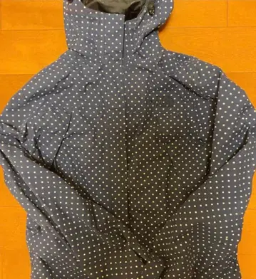 THE NORTH FACE 도트 무늬 마운틴 후드티