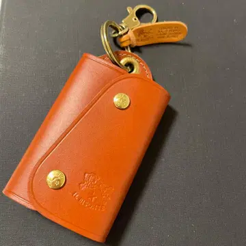 일비종떼 키케이스