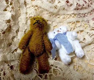 네오 브라이스 커스텀 브라이스 아웃핏 인기 작가 작가 테디베어