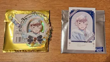 헤타리아 러시아 2단 오로라 아크릴 키링 AMO 카페 미니 포토 카드