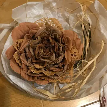 카네카 이사오 코사지