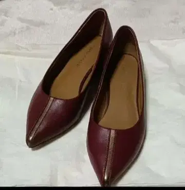 Odett e Odile 센터라인 펌프스 22.5cm 보르도