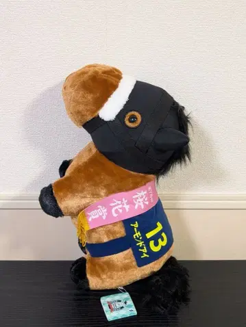 서러브레드 컬렉션 복슬복슬 BIG 아몬드 아이 GIGO 한정판