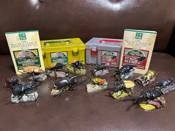 입체도감 장수풍뎅이 사슴벌레 트로피컬 라인 포레스트 곤충 피규어