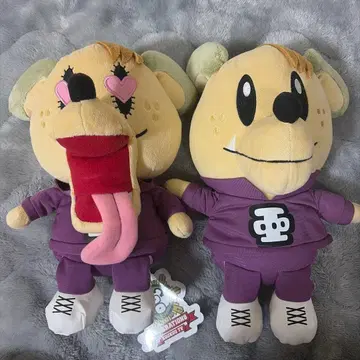 제네견 시라하마 아란 2세트