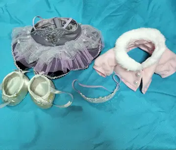 댄싱 스노우플레이크 스텔라 루 코스튬 디즈니씨