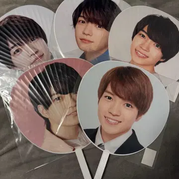 니시하타 다이토 부채 세트