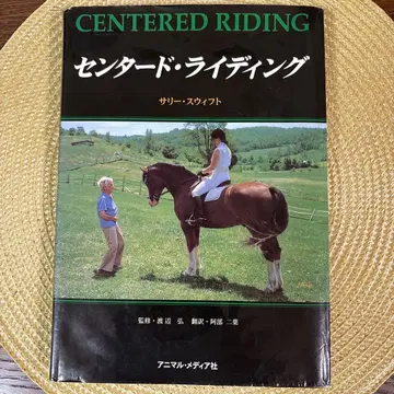 센터드 라이딩 샐리 스위프트