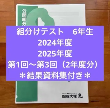 2024 2025학년도 6학년 반 편성 테스트, 2개년분