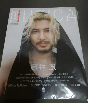 후지이 카제 musica