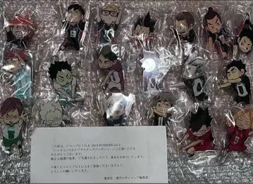 하이큐 아크릴 핀 배지 현상 점프 GIGA 전종 외 애니메이션 굿즈