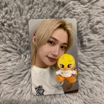 필릭스 트레이딩 카드