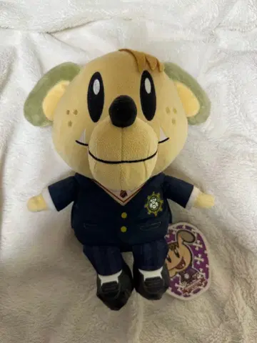 제네견 시라하마 아란