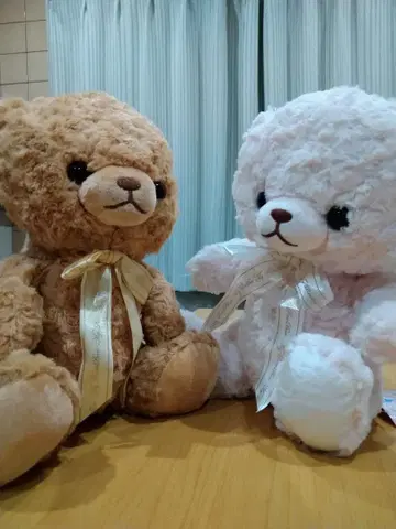 마이 로즈 베어 30cm 2개 세트