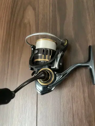 다이와 띠어리 1003