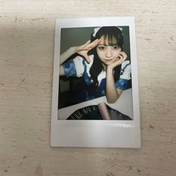 하나세 마이 런치 폴라로이드