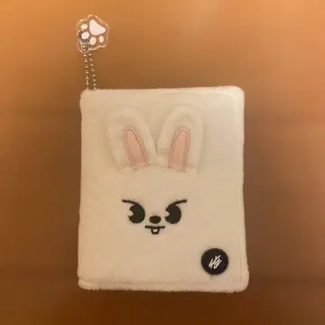 Straykids 사진 카드 케이스 리노 리빗 트레이딩 카드 케이스