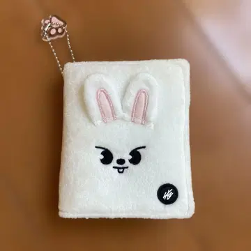 Straykids 사진 카드 케이스 리노 리빗 트레이딩 카드 케이스