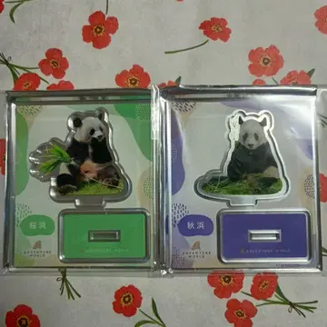어드벤처 월드 PANDA JOURNEY 아크릴 스탠드 사쿠라하마 아키하마