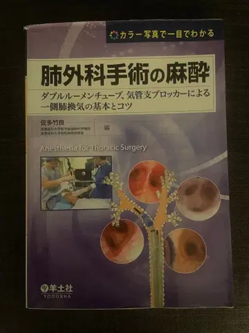 마취과 수술의 마취