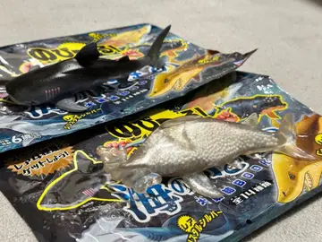 타카라지마사 토이즈 바다의 생물 귀상어 크리스탈 실버 귀상어