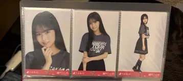 노기자카46 세토구치 신츠키 브로마이드 후쿠오카 라이브T 컴프