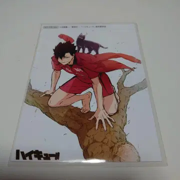 쿠로오 테츠로 브로마이드 COSPA 하이큐