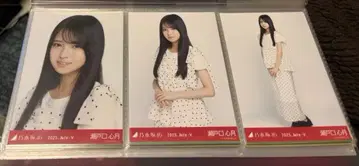 노기자카46 세토구치 신츠키 도트 컴프