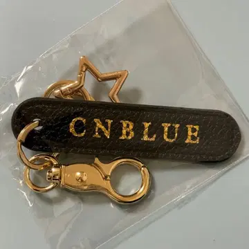 CNBLUE AUTUMN LIVE SHINTOUYA 백참