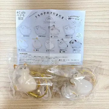 우리 집 강아지 털뭉치 개 시바견 2개