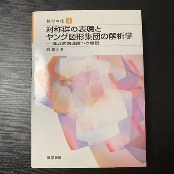 대칭군의 표현과 영 도형 집단의 해석학