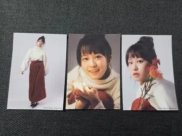 쿠스노키 토모리 2