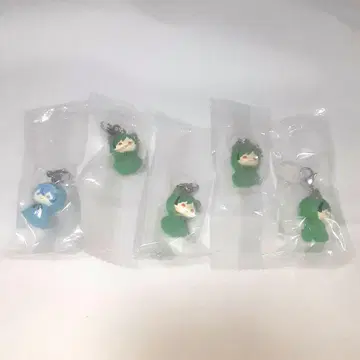 시쿠포니 메지루시