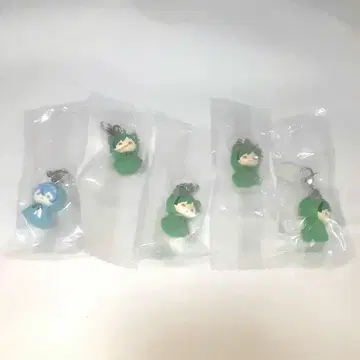 시쿠포니 메지루시