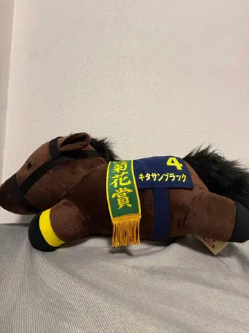 서러브레드 컬렉션 네코베리 초 BIG 봉제 인형 키타산 블랙