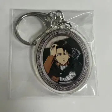 진격의 거인 카라테츠 스트로우 참 리바이