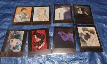 [슬로데미] 슬로우 데미지 파샤코레 & 마그넷 세트