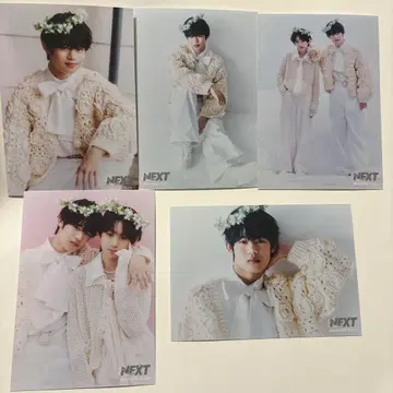 타케시 나오시 사진 세트