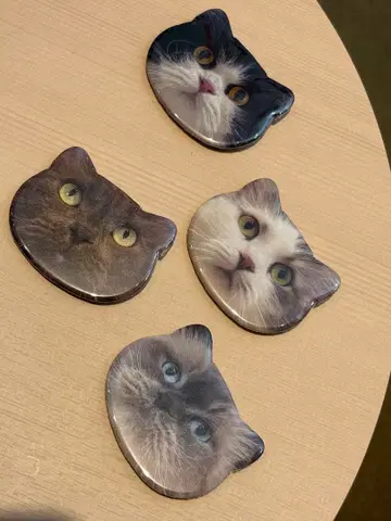 고양이 카페 mocha 모카 레이크타운점 고양이 캔뱃지