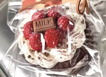 딸기 초콜릿 케이크 토롱 스퀴즈