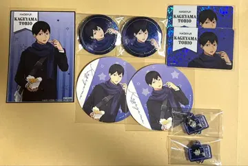 하이큐 코스모 월드 카게야마 토비오 캔뱃지 홀로그램 카드 등