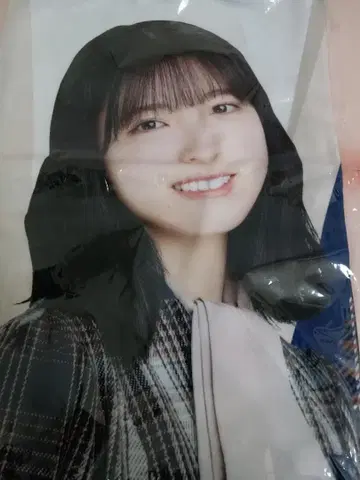 하야카와 세이라 노기자카46 개별 담요 2021 너에게 혼났다