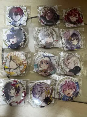 퀴즈RPG 마법사와 검은 고양이의 위즈 x 다이토 캔뱃지 아폴로 등