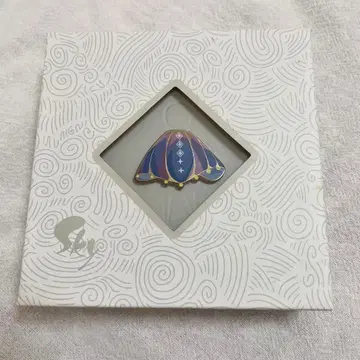 Sky 별을 엮는 아이들 빛의 탐구자 케이프 핀 배지 연동 완료