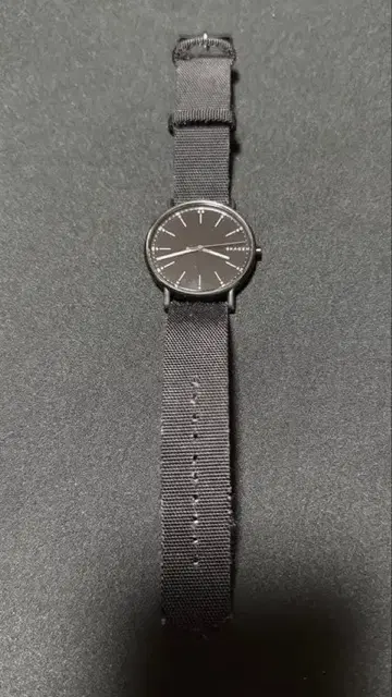 SKAGEN 손목시계