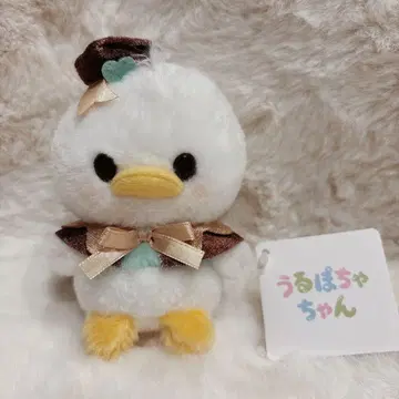 디즈니 스토어 봉제 인형 발렌타인 우루포차 도날드