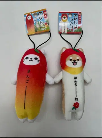 늘어나는 고양이 늘어나는 시바 망고