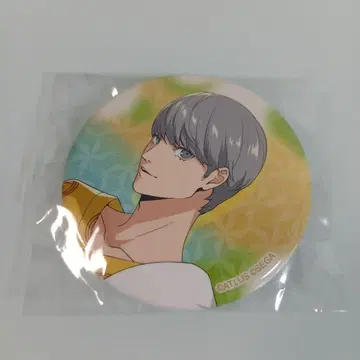 페르소나 극락탕 주인공 나루카미 유우 레어