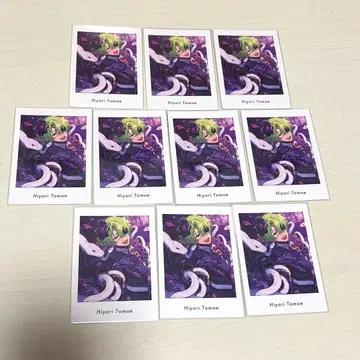 앙스타 파샤츠 토모에 히요리 10장 P.A.shots!! Vol.6 파샤